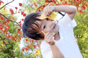 子育て四訓を今さらながら知った私。続きや作者は誰かが気になる!