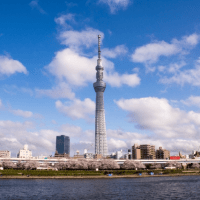 お花見デートは何するかより場所が肝心!?東京の桜の名所から10選